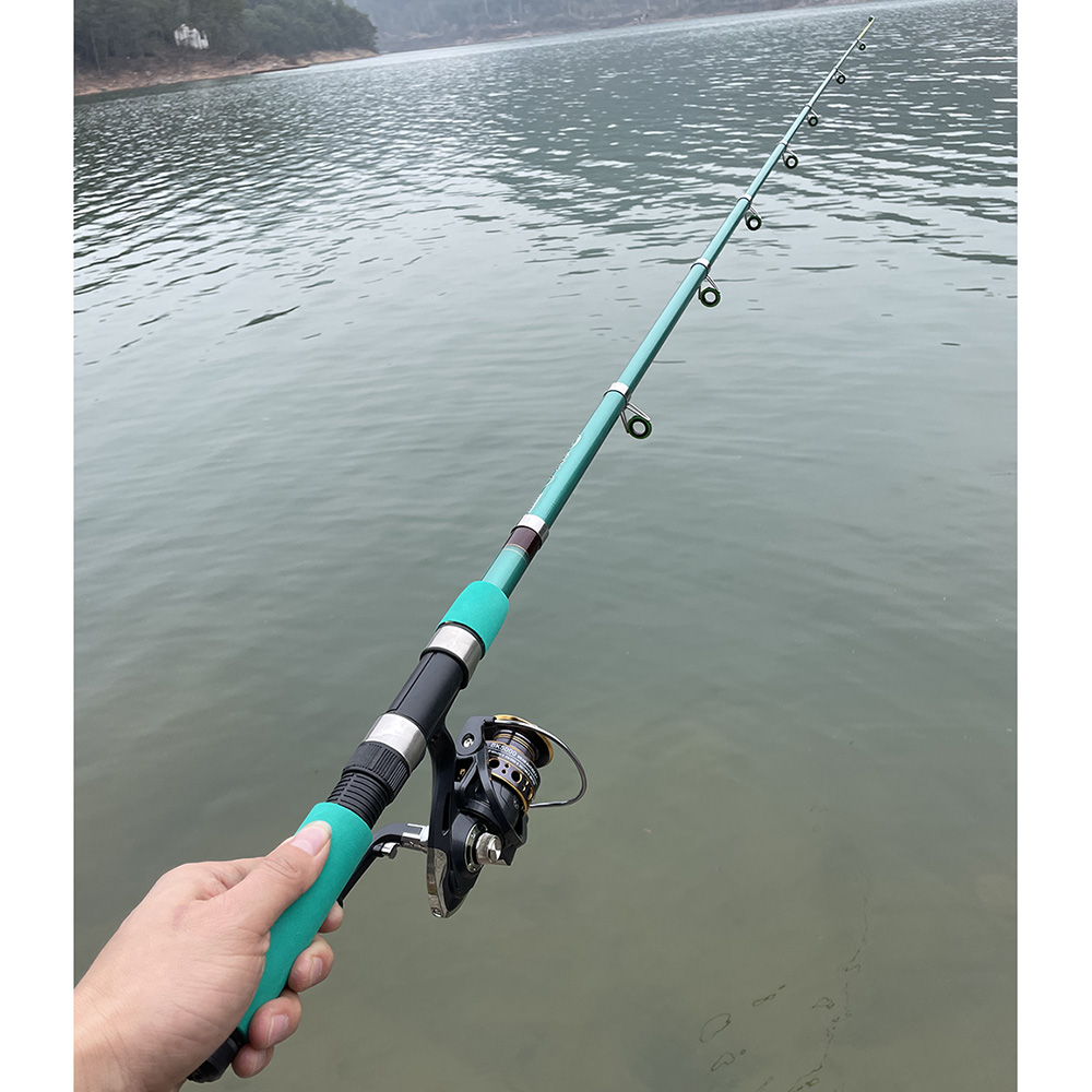Bass Pike Carp Fishing Rod Com - Fishing Equipment Europe recension och pris